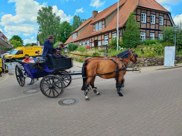 Mit einer historischen Kutsche konnte man Runden durch das Dorf drehen | Foto: thl
