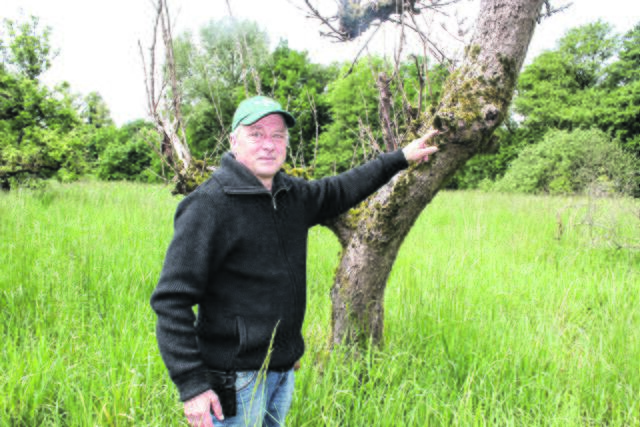 Bernd Unglaub zeigt spannende Naturentdeckungen | Foto: sb