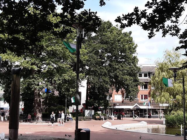 Überall in der Stadt wurden die grün-weißen Flaggen des Schützenvereins gehisst