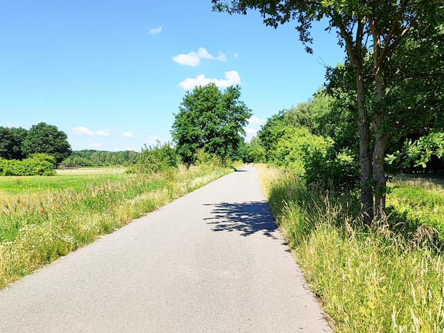 Eine ruhige Radstrecke durch die Natur | Foto: thl