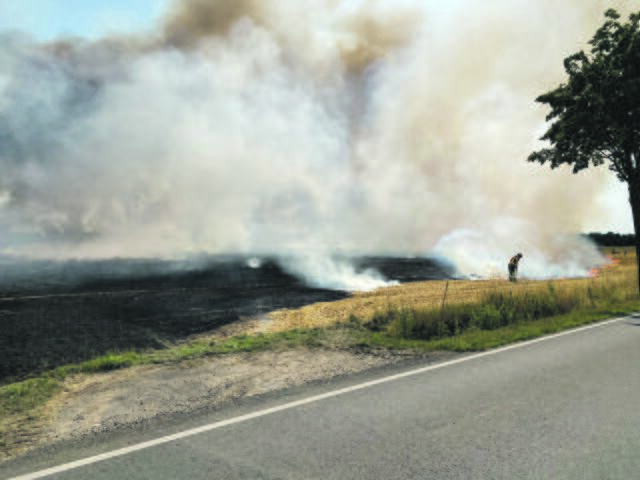 Foto: Feuerwehr