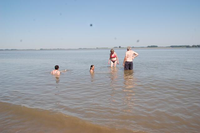 Willkommene Abkühlung in der Elbe