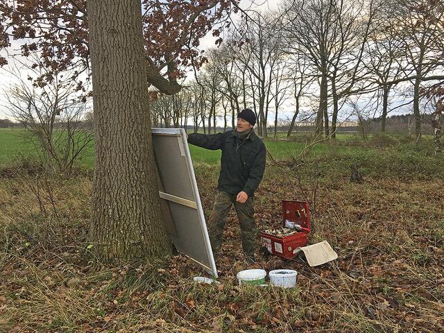 Künstler Bernd Schwarting aus Fredenbeck ist international bekannt | Foto: Schwarting