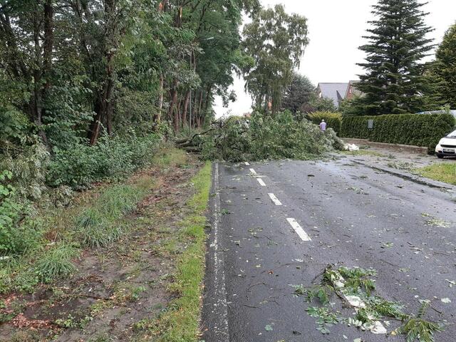 Lüneburger Straße | Foto: os