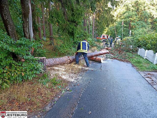 Zahlreiche umgekippte Bäume mussten von den Feuerwehren entfernt werden | Foto: Feuerwehr Jesteburg