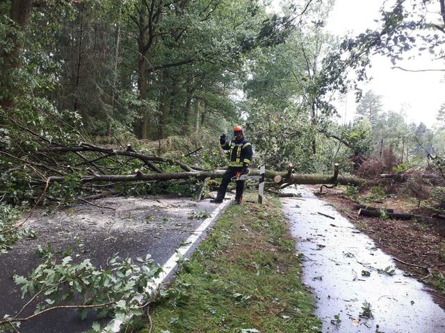 Foto: Matthias Wille