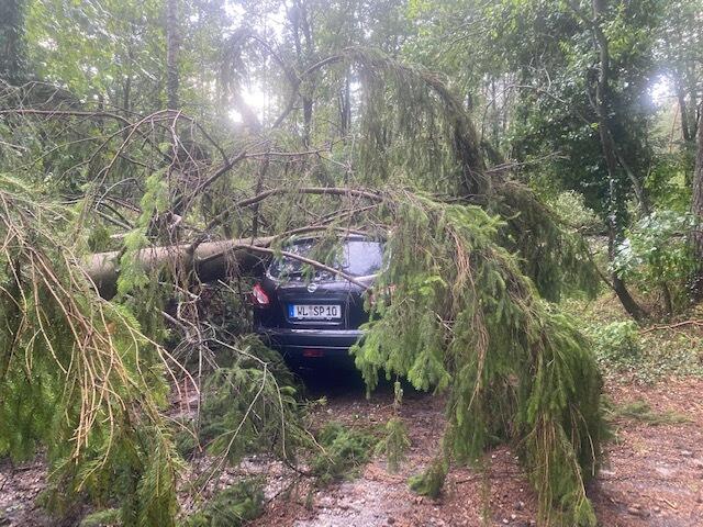 Bilder von dem Sturmschaden bei Bernd Kosen | Foto: Kosen