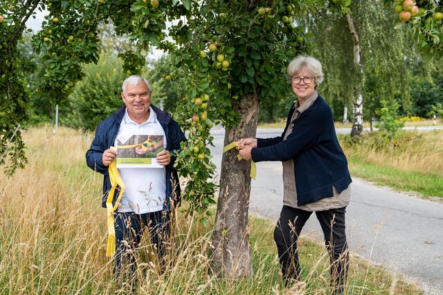 Seevetals Bürgermeisterin Emily Weede und Ortsbürgermeister Dr. Norbert Wilezich kennzeichnen in Ramelsloh mit gelben Bändern Bäume, von denen Obst gepflückt werden darf | Foto: Gemeinde Seevetal