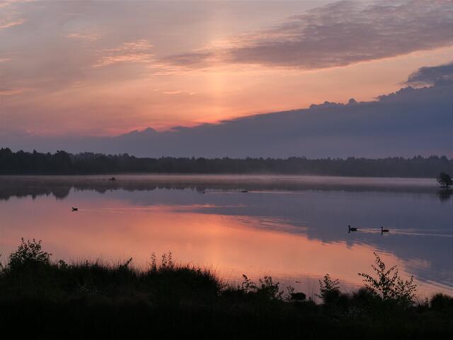 Ein Sonnenaufgang im Tister Bauernmoor (4.30 Uhr) von Carola Meyer-Fricke aus Apensen | Foto: Carola Meyer-Fricke