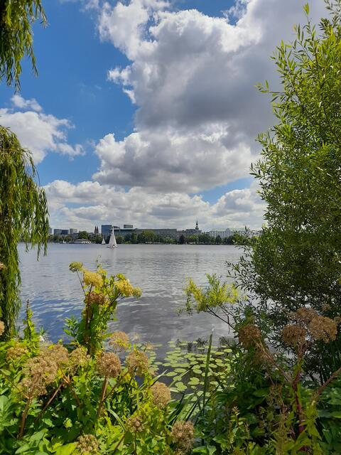 Einen "Tag in Hamburg an der Alster" hielt Brigitta Rätke-Karbe aus Seevetal fest | Foto: Brigitta Rätke-Karbe