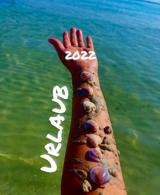 Mit selbst gesammelten Muscheln kreierte Jule-Marie Holdorf aus Winsen dieses Foto in Can Picafort (Spanien/Mallorca) | Foto: Jule-Marie Holdorf