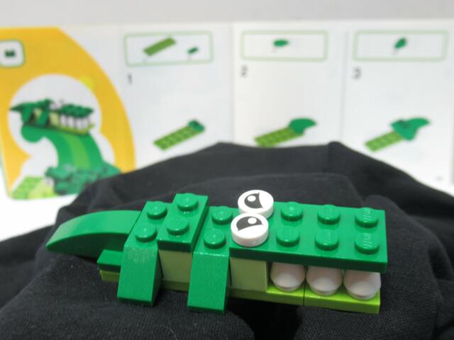 Ein Krokodil ! | Foto: tw