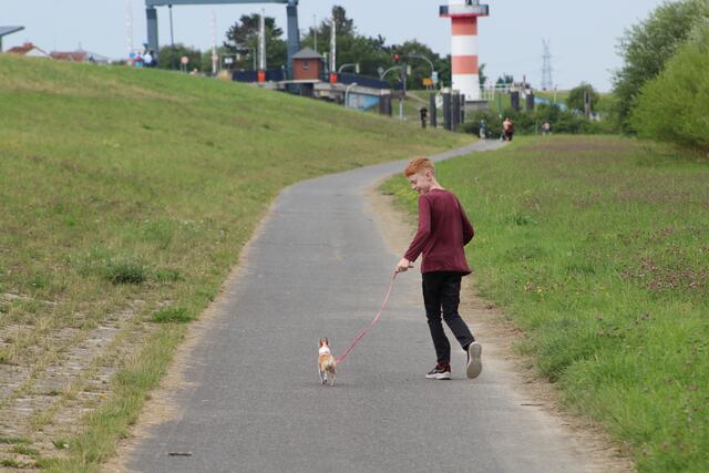 Renate und Kai Holm aus Stade knipsten ihren Enkel Jona (12) mit Hündchen Bluebell bei einem Ausflug an die Elbe am Lühe Anlieger | Foto: Kai Holm