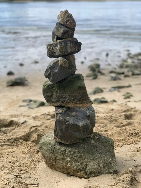 Dieses Stillleben am Stover Strand hielt Olga Gebers aus Elbmarsch fest | Foto: Olga Gebers