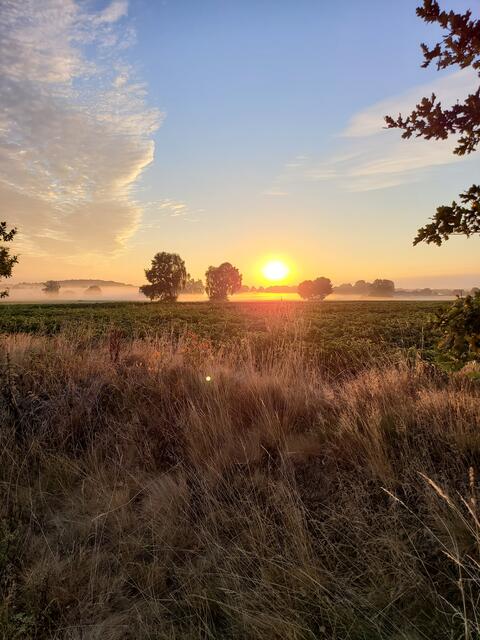 Ein wunderschöner Sonnenuntergang von Christian Wills aus Eyendorf | Foto: Christian Wills