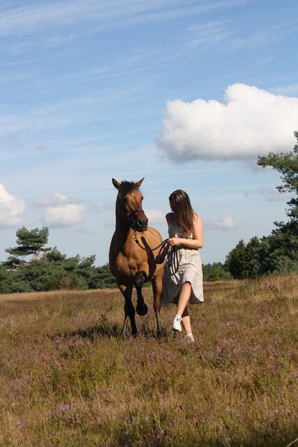 Pia Marie Jürgens aus Jesteburg und Pferd Penny in der Töps-Heide | Foto: Pia Marie Jürgens