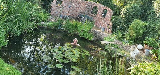 Bernd Hintelmann aus Nordkehdingen erfrischt sich im Gartenteich | Foto: Bernd Hintelmann