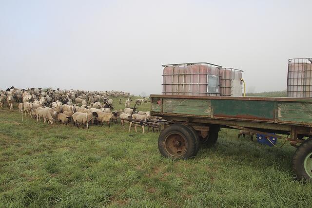 Die Wasserversorgung ist gewährleistet. Draußen stehen an mehreren Stellen Tanks und Fässer. | Foto: jd