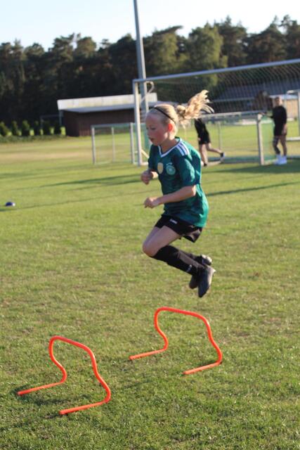 Ein Hindernis-Parkour trainiert die Sprungkraft | Foto: pm