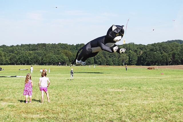 Der Drache mit Katzenmotiv gefällt ganz besonders den jüngsten Besuchern | Foto: bim