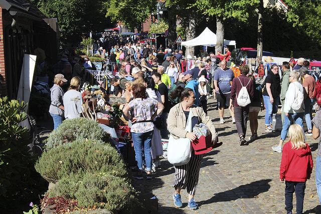 Um die Besucherinnen und Besucher des Flohmarkts in Tostedt zu betreuen, sind viele ehrenamtliche Helferinnen und Helfer notwendig | Foto: os