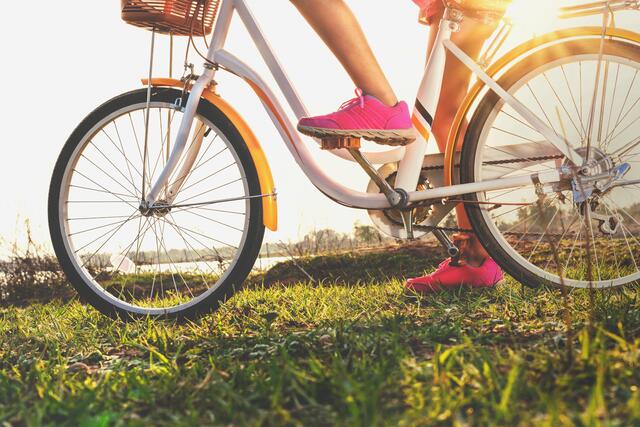 Foto: Adobestock / lovelyday12