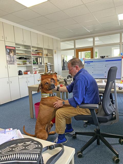 Ebo identifiziert sich trotz seiner Größe als Schoßhund. Zuhause darf er das nicht ausleben, aber das Herz von Redaktionsleiter Tom Kreib hat er sofort erweicht | Foto: sv