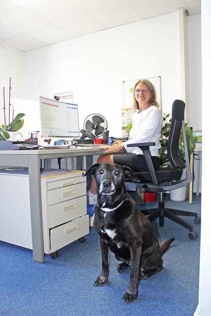 Hundeoma Lilli hat im Juli zwei Wochen auf PR-Redaktions-leiterin Nicola Dultz aufgepasst - und fand in der Redaktion viele bereitwillige Ballspielgefährten | Foto: sv