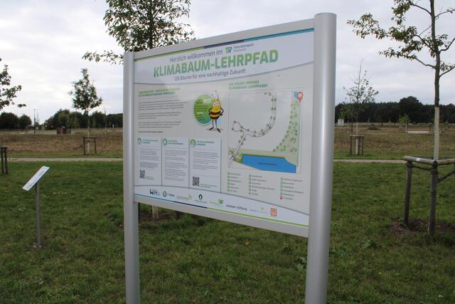Der Klimabaum-Lehrpfad wurde in Kooperation mit Schülern, der Zukunftswerkstatt Buchholz und der Verdieck-Stiftung eingerichtet