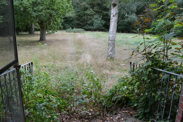 Von hier geht's auf das großzügige Außengelände | Foto: bim
