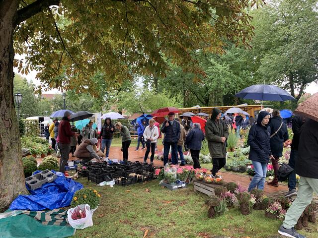 Mit Regenschirmen ging es für die Besucher über den Markt