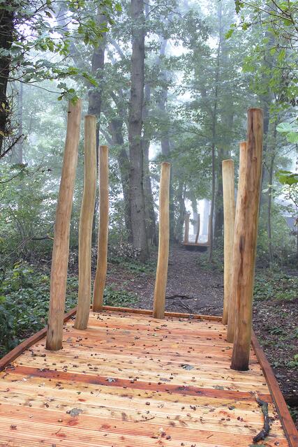 Die Sichtachse von einem Steg zum anderen führt quer durch den Wald und lädt zur Naturbeobachtung ein | Foto: sb