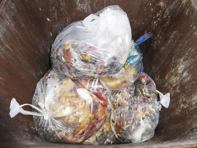So funktioniert es nicht: Bioabfälle werden in den Plastiktüten in die Tonne geworfen | Foto: LK Stade