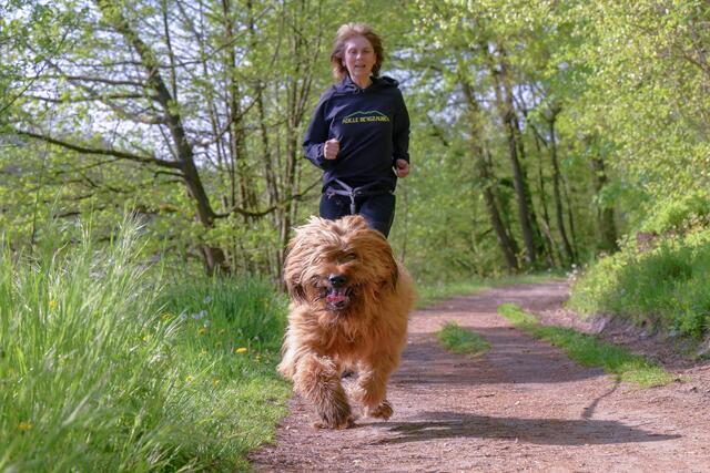 Bein CaniCross sind Carola Hadler und ihr Hund Fjäll als Laufteam unterwegs | Foto: Hundestars.de