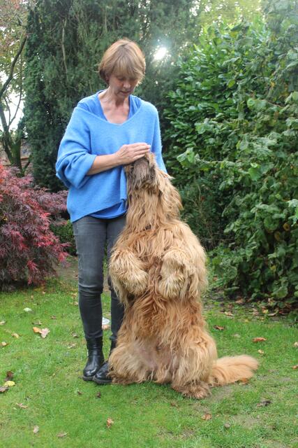 Mit der Übung "Hase" trainiert Carola Hadler die Rücken- und Bauchmuskeln ihres Hundes