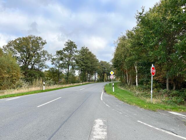 Der Blick von der Haltelinie aus in Richtung Ritsch. Hier könnte es helfend sein die Bäume rechtsseitig etwas zu kürzen. Dies würde für eine bessere Einsicht in die Fahrtrichtung  Ritsch sorgen.