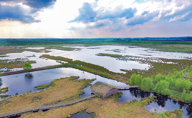 Das Aschhorner Moor aus der Kranichperspektive. Vorne die Moorhütte des Vereins zur Förderung von Naturerlebnissen | Foto: Landkreis Stade/Günter Richters