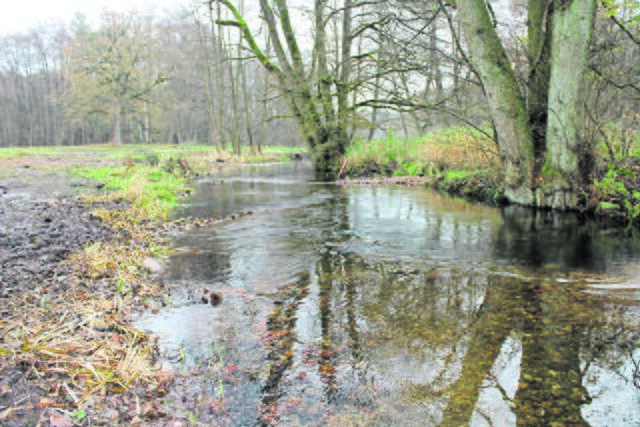 So soll es sein: Durch eingebaute Strömungslenker und Totholz kommt wieder Bewegung in den Fluss