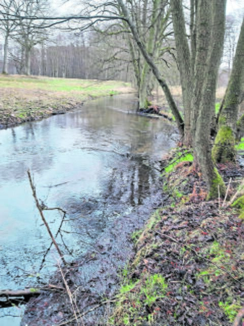 So sah der Streckenabschnitt vor der Maßnahme aus | Foto: Kausch