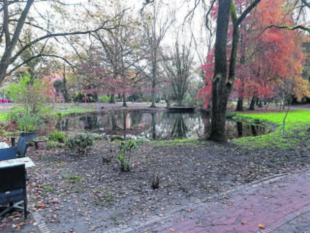 Soll aufgewertet werden: das Areal rund um den Teich im Rathauspark