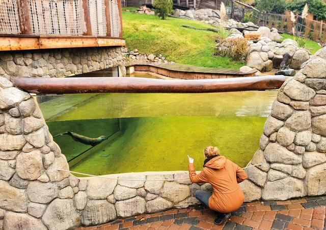 Neue Otteranlage mit  Unterwasserbecken im Wildpark Schwarze Berge | Foto: Wildpark Schwarze Berge