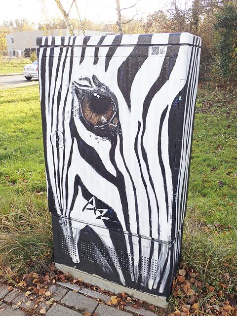 Das Auge des Zebras befindet sich in Maschen | Foto: Axel-Holger Haase