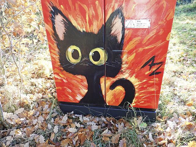 Diese Katze schaut in Hittfeld auf die Passanten | Foto: Axel-Holger Haase