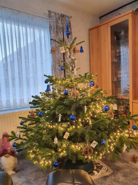 Christine Kraft, Stade | Foto: Kraft