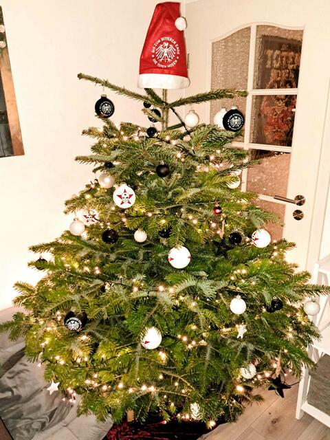 Familie Brassat aus Horneburg liebt die Band "Die toten Hosen" - auch am Weihnachtsbaum | Foto: Brassat