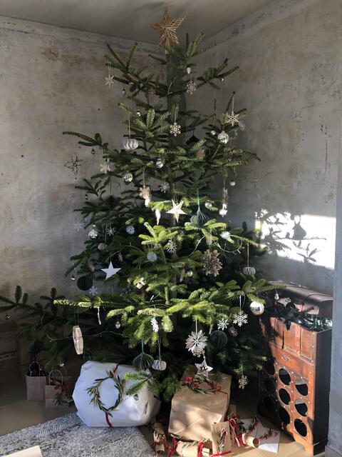 Yvonne Carstens | Foto: Cartens