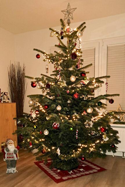 Der Baum der Familie Latsch aus Sottorf | Foto: Latsch