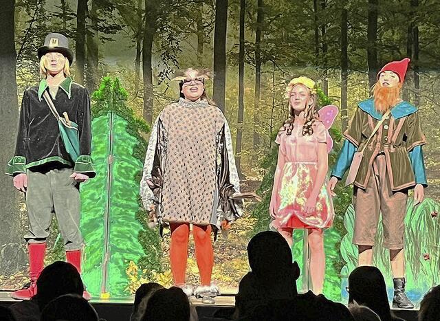 Die Schauspieler waren sehr professionell auf der Empore-Bühne | Foto: Steenbeeker