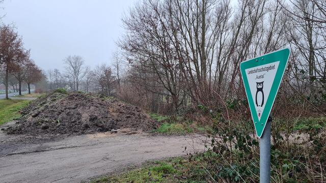 Die Bäume wurden in einem Landschaftsschutzgebiet gefällt | Foto: jd
