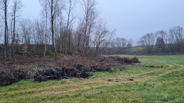 Es wurden zahlreiche Bäume abgeholzt. Der Landkreis fordert nun den Grundeigentümer auf, Stellung zu nehmen | Foto: jd